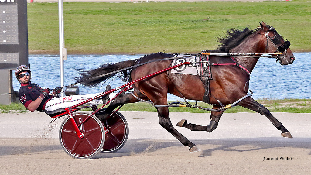 Dynamite Dylan Ready To Take On All Comers