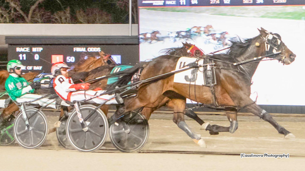 Eye Ofa Tiger As, Saulsbrook Genesis Score At Northfield