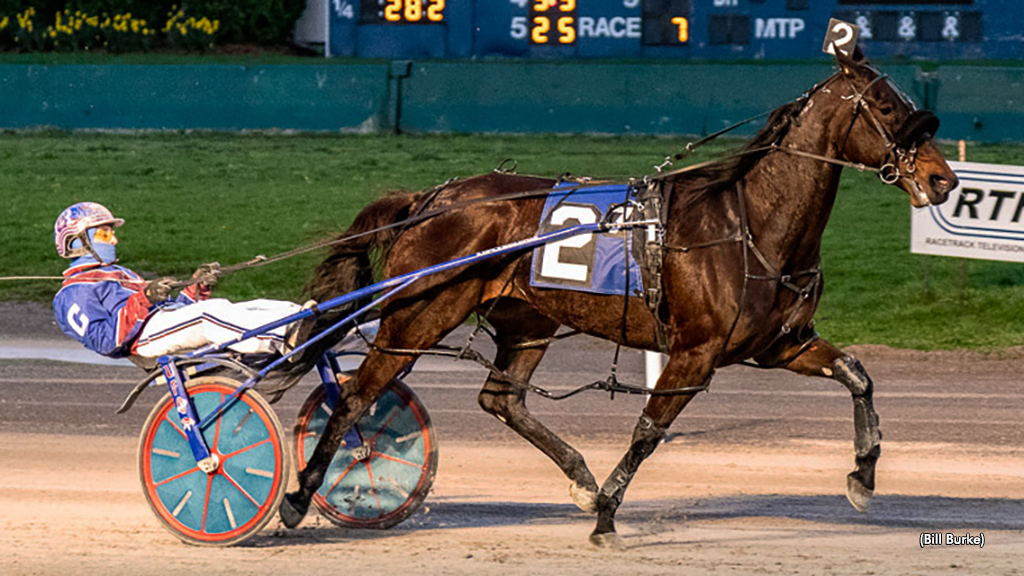 Filly Speaks Collects Jumpstart Series