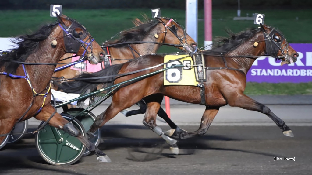 Big M Main Events To Nicholas Beach, Hillexotic