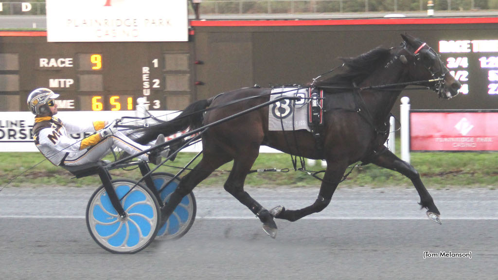 Icanflylikeanangel Soars To Victory At Plainridge