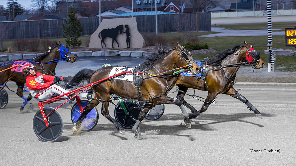 Ideal Perception A Popular Preferred Winner