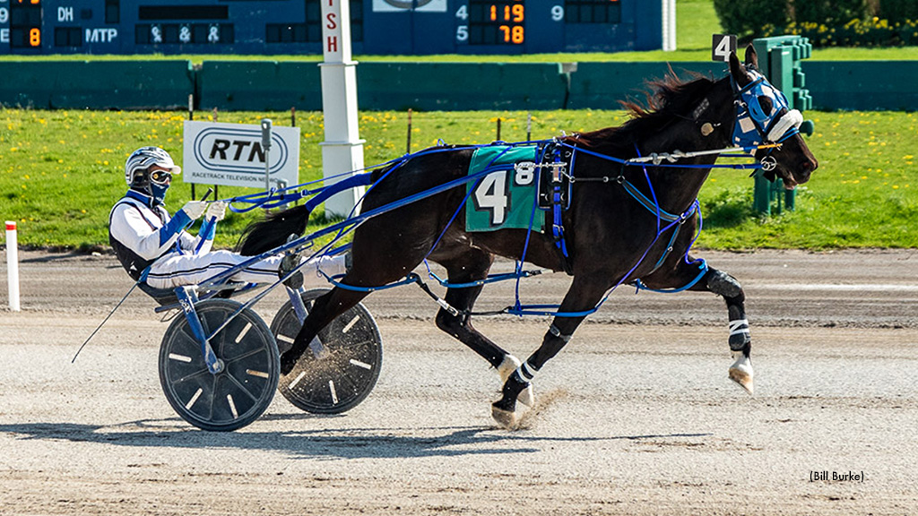 Imprincessgemma A Is Queen At Buffalo Raceway