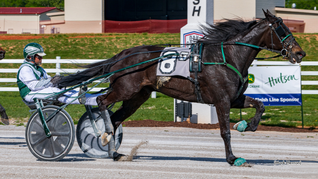 Its A Herbie Rebounds In Oak Grove Open Trot
