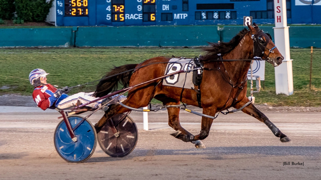 Buffalo Open Pace To Joesstar Of Mia A