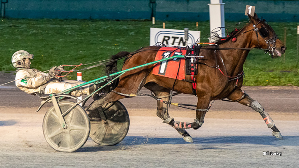Just Plain Loco Takes Buffalo Open Pace
