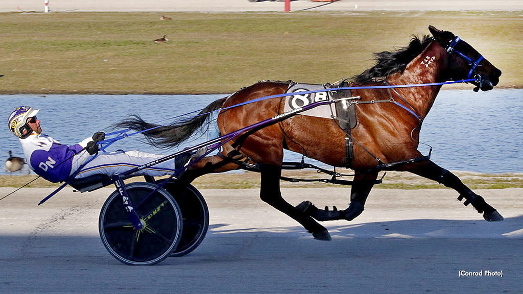 Noble Notches Six, Wins Open With Let It Ride N