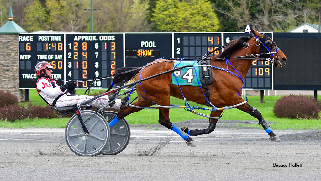 Maczaffair N Wires Saratoga Mares