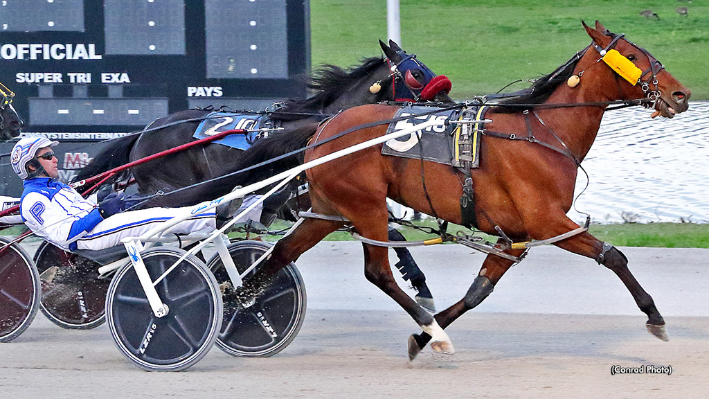 McSeaside Proves Best In Hackett Memorial