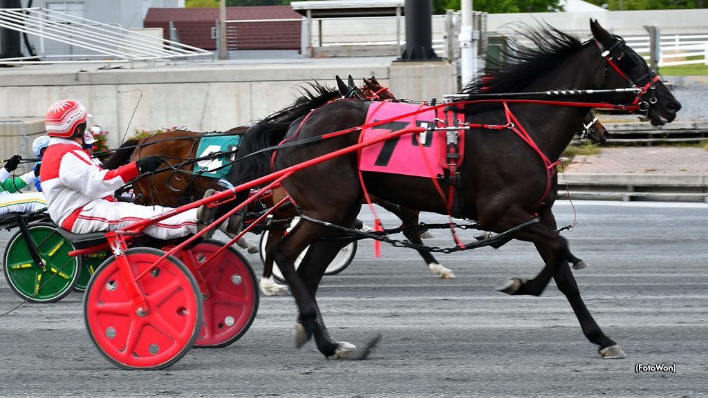 79-Year-Old Davis Wins Race At Harrington