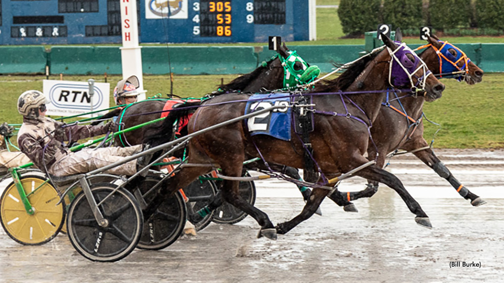 Moneymakehersmile Cashes At Buffalo