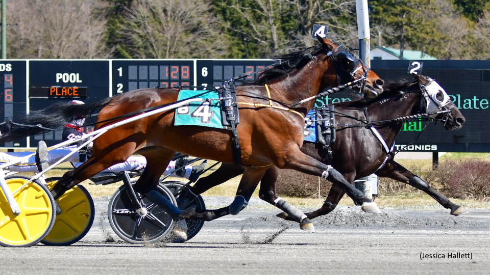 Series Score At Saratoga For Mr Cool Seaeyre N