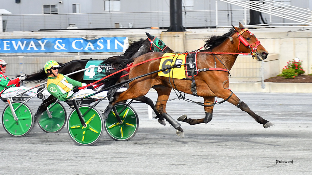 Muscle Dynasty Wins Harrington Open Trot