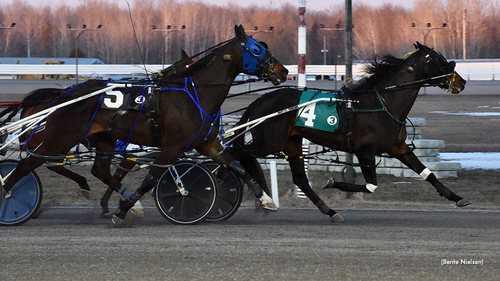 National Debt Wins; Puddy And Archer Dominate