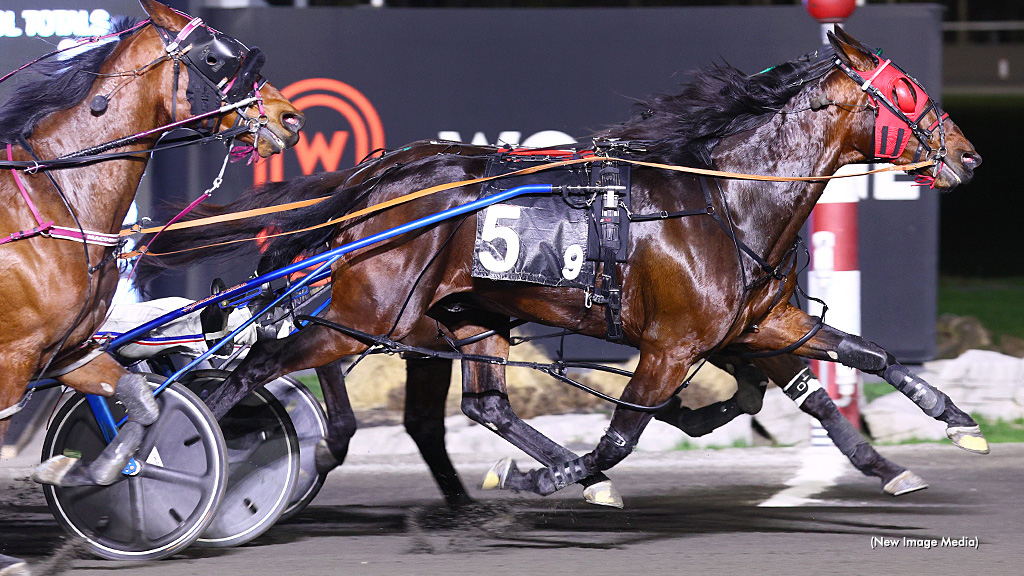 Nautical Hanover Holds In Free For All