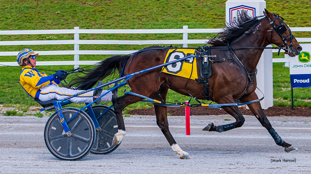 No Lou Zing Victorious In Oak Grove Open Pace