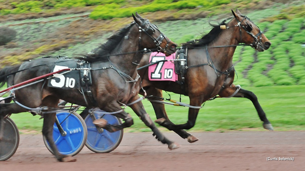 'Panettone' Only Repeat Winner In Weiss