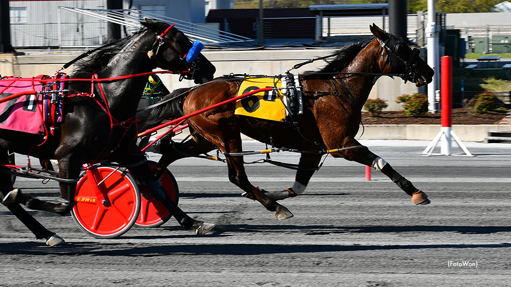 Proper One Reclaims Harrington Opening Night Success