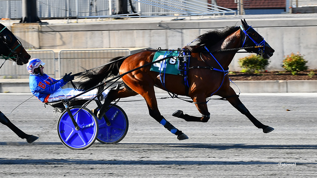 Remarkable De Vie Scores In Harrington Open