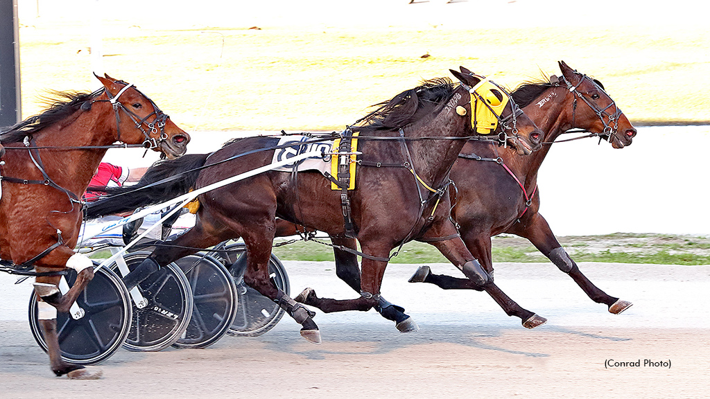 Rose Run Valor Upsets Ohio's Open Trotters