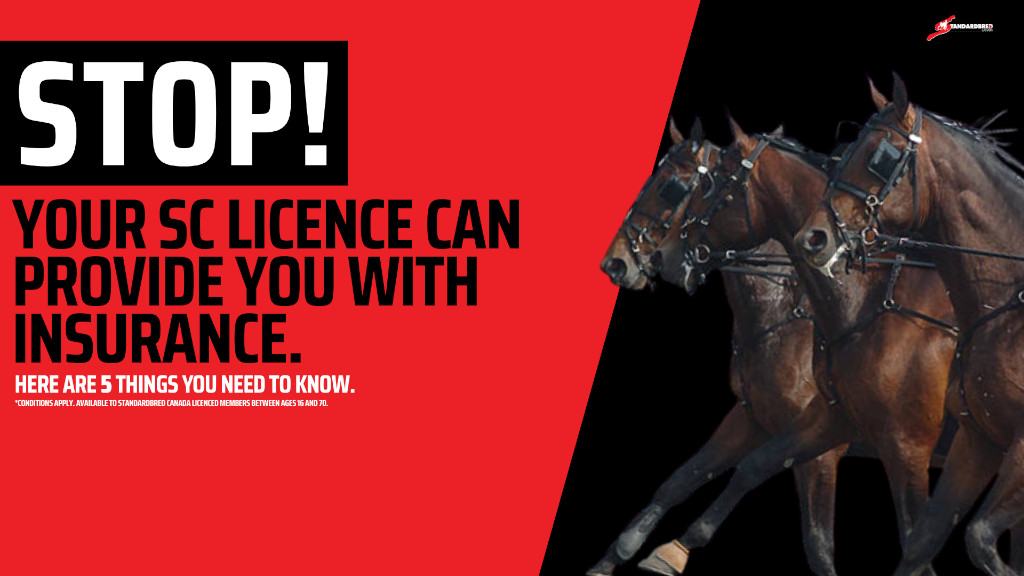 Get Insured With Standardbred Canada