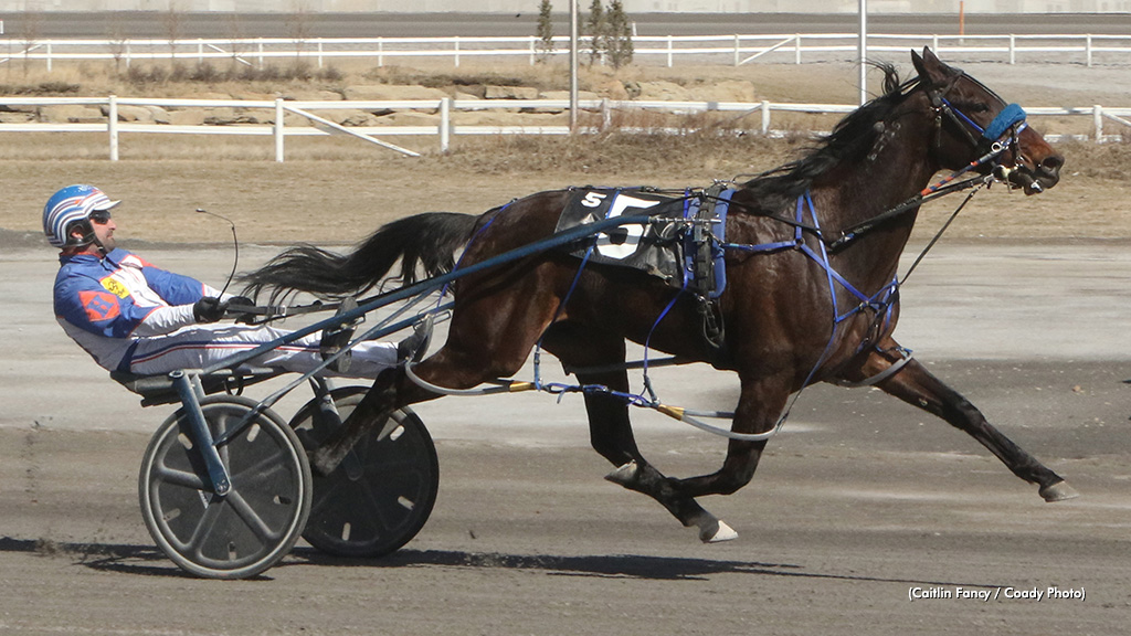 Shark Week Repeats; Sobey Grand Slams At Century