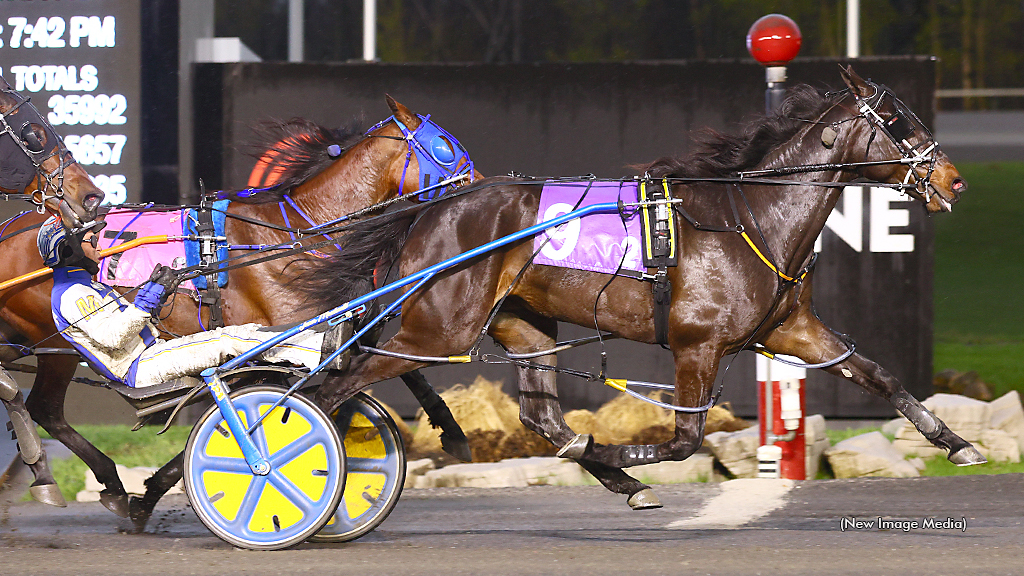 O'Brien Award Winners Headline Ontario Graduate Series