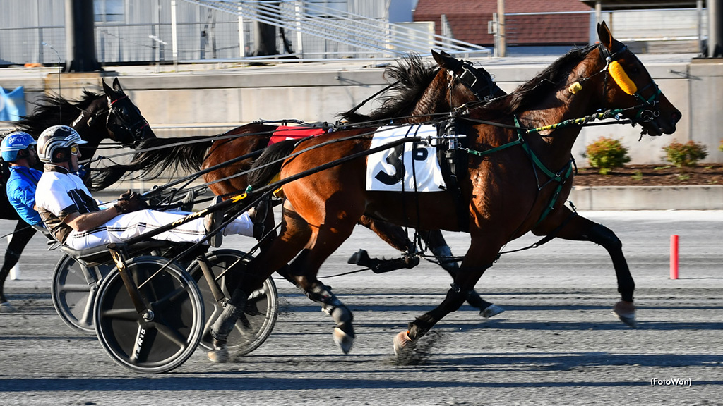 Skyway Bebop Best In Harrington Open 