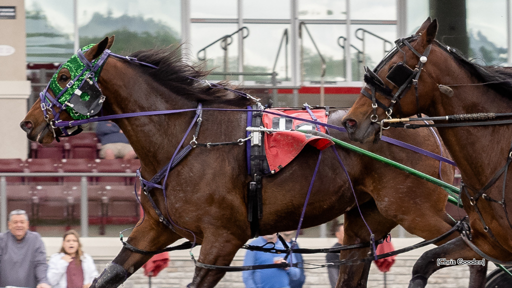 Slipmeamiki Turns The Tables To Win