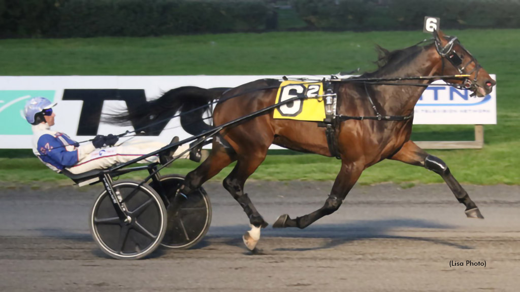 Takter Trainee 'Tactical' Has The Right Approach At Big M