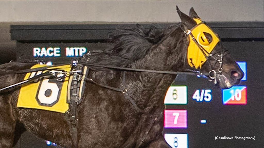 Burke Sweeps Northfield Opens