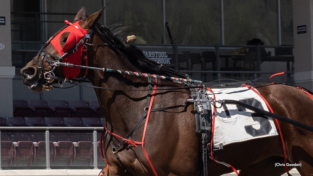 True Seelster Scores In Series Opener