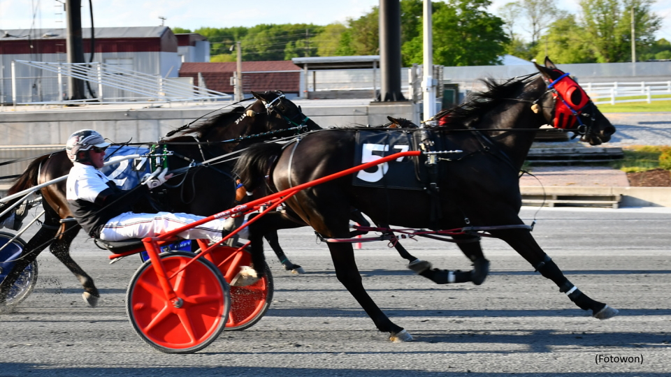 Wager On Me Upsets In Harrington's Main Event