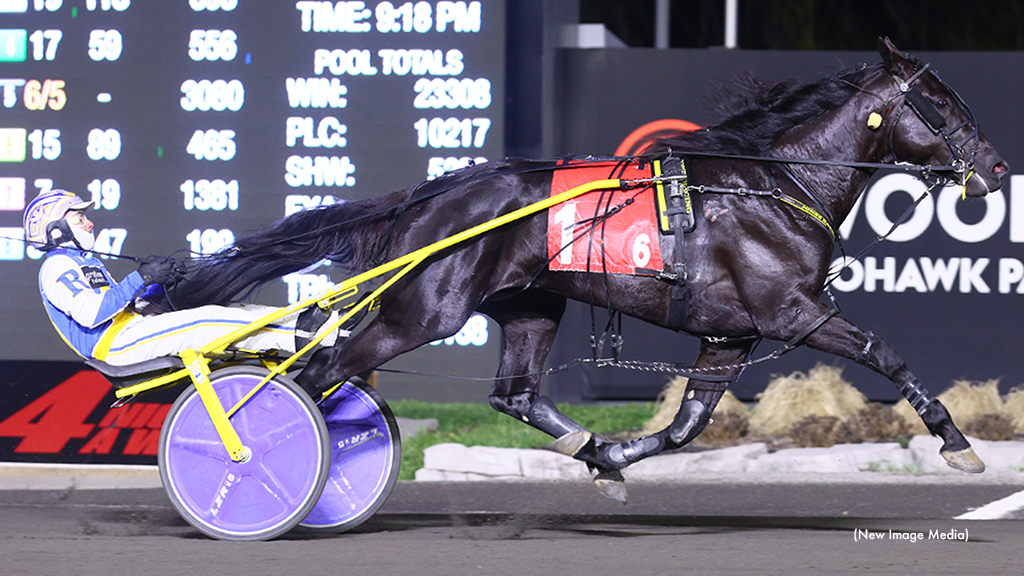 What An Angel Registers Lifetime Best At Mohawk
