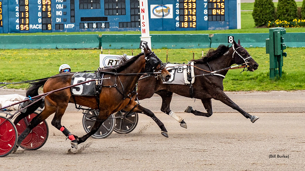 Winning Legends Wins Another Open Trot
