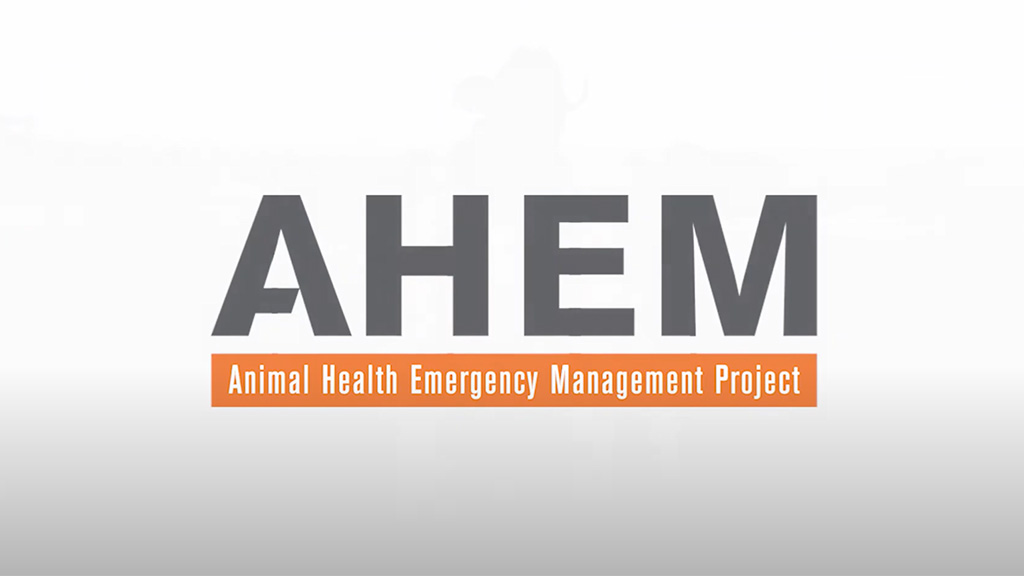 Flooding And Wildfire Emergency Resources For Livestock Flooding And Wildfire Emergency Resources For Livestock