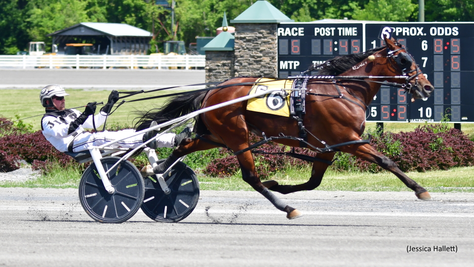 Always Watching Delivers Over Distaffers At Saratoga