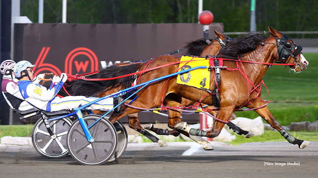 Betterontheisland Posts Career Best At Mohawk