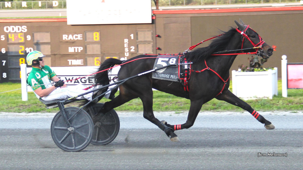 Trotters Take Spotlight At Plainridge Park