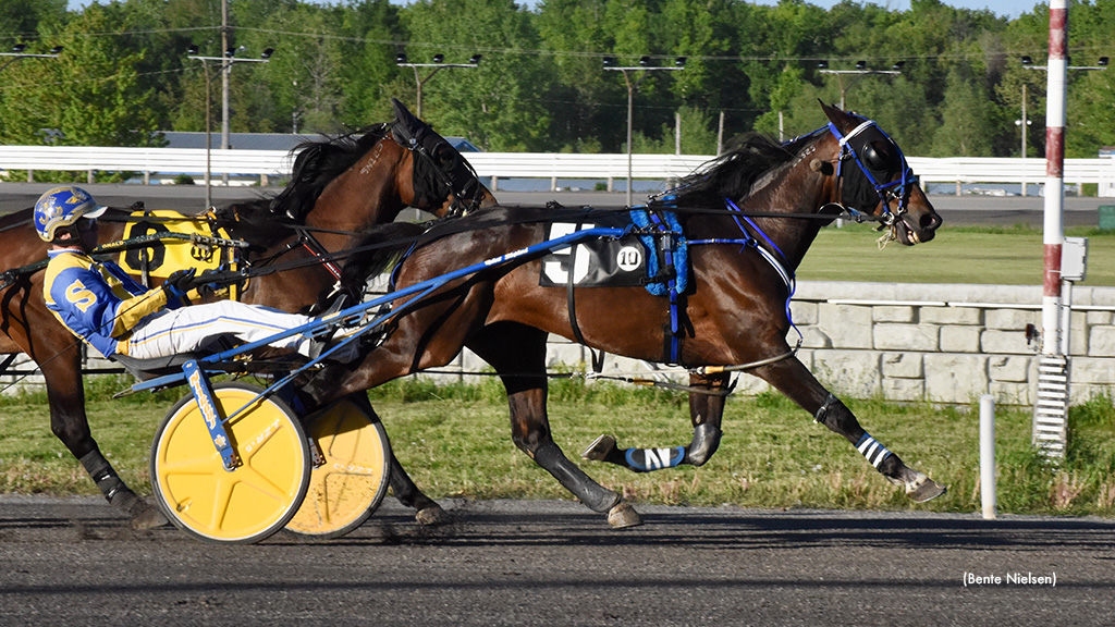Black Tie Bash Best At Rideau; Archer Wins Four