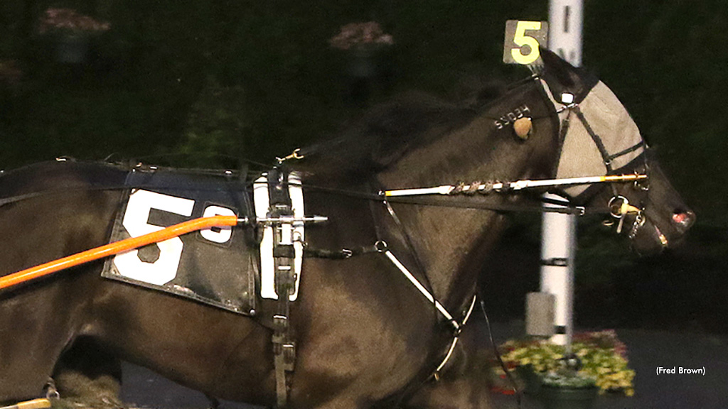 Brilliant Beauty Bags Tioga Open