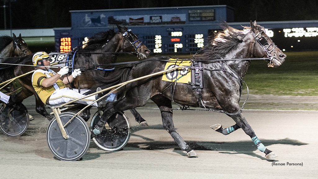 Celebrity Pegasus Earns 50th Career Win