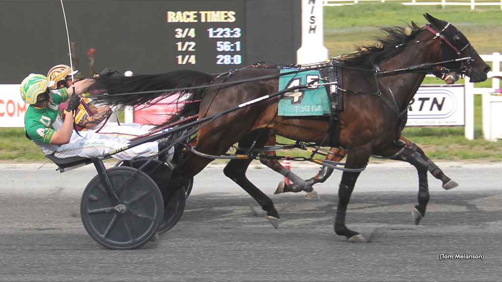Dandys Evrlasting Wins Plainridge Distaff