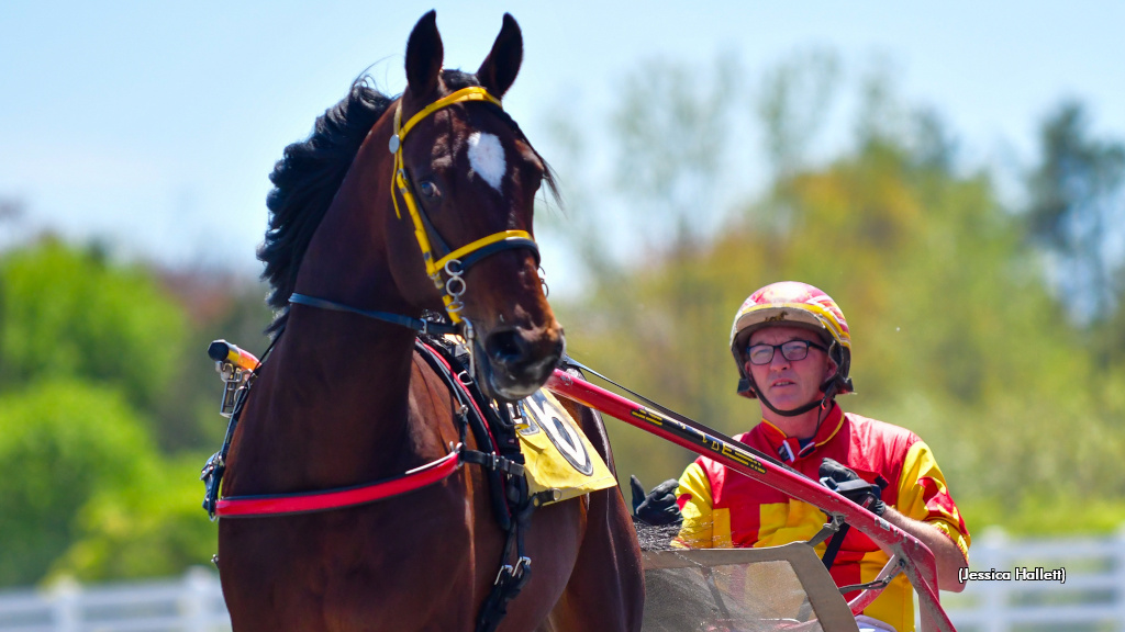 Delayed Hanover Brings Instant Gratification