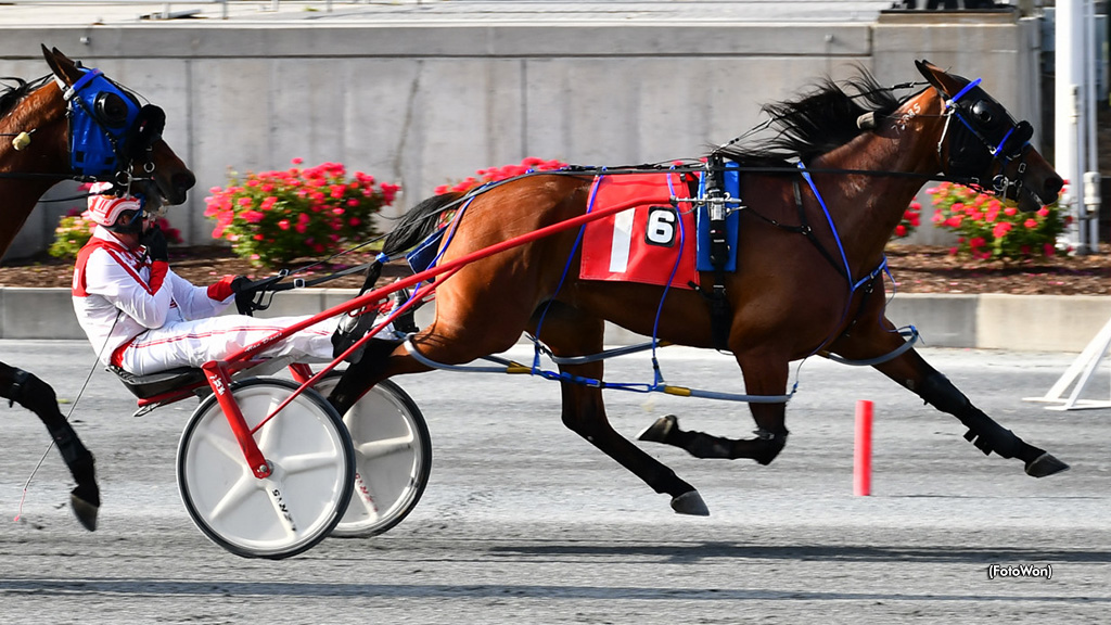 Divine Deo Wins At Harrington; Six For Davis