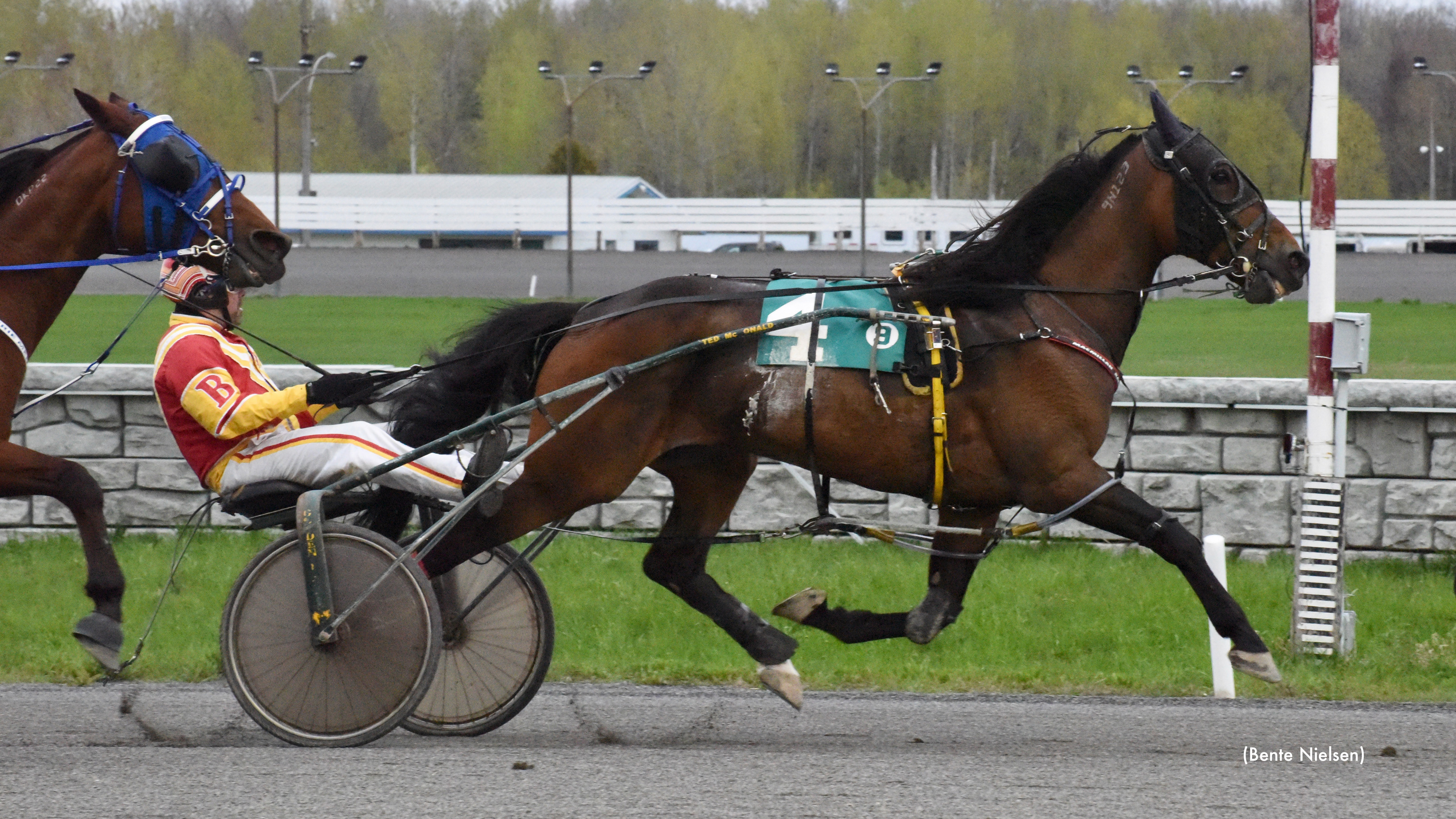 Donatover Dominant In Rideau Preferred
