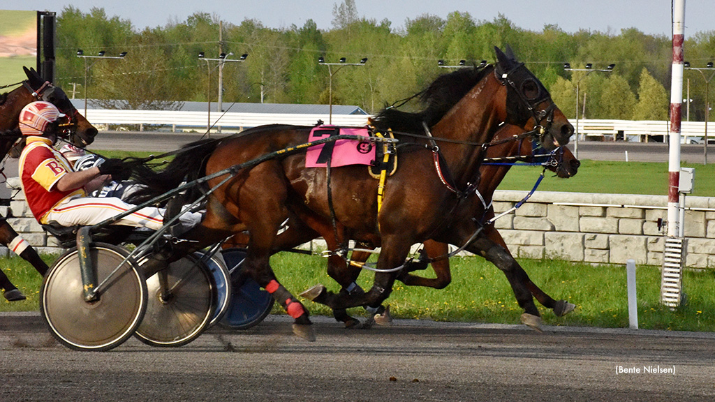 Donatover Repeats In Rideau Preferred