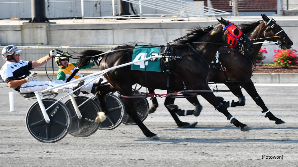 Grand Cayman Repeats In Harrington Open