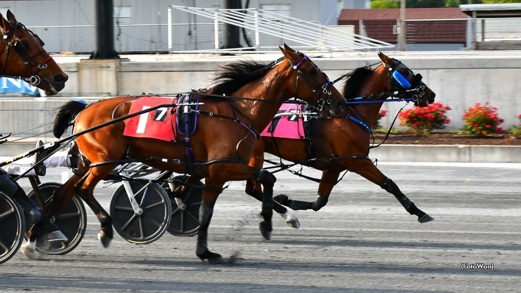 Heinikin Bythebay Scores In Harrington Open