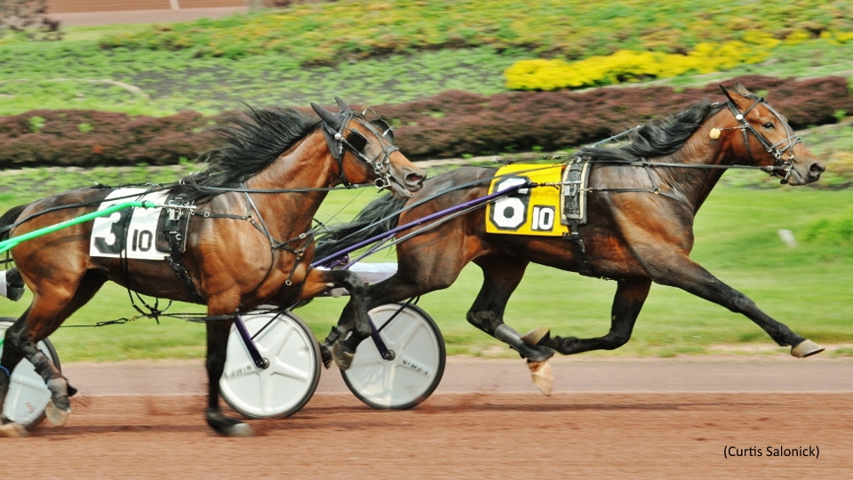High Profile Trotters Score At Pocono